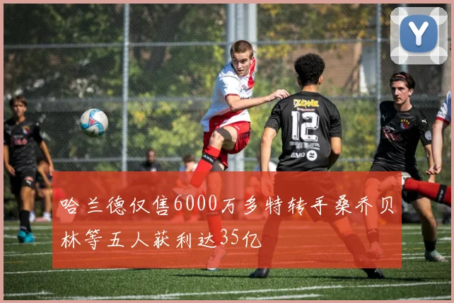 哈兰德仅售6000万多特转手桑乔贝林等五人获利达35亿