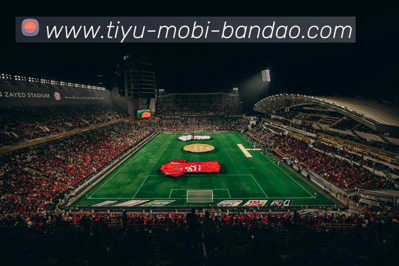 奖项证书